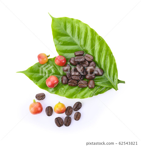 Fresh roasted coffee beans with leaves isolated on 62543821