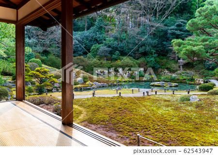 Garden view from Shoren-in Temple, Kyoto 62543947