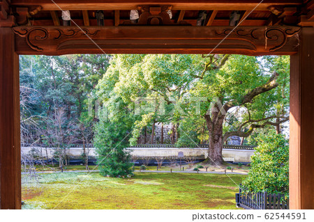 Kyoto Shoren-in Garden view 62544591