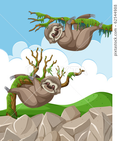 Scene with two slothes hanging on the branches 62544988