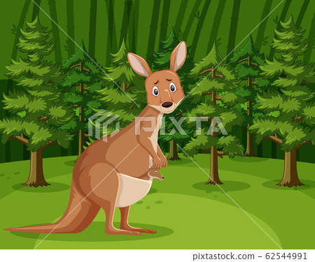Scene with sad kangaroo in the big forest Scene with sad kangaroo in the big forest 62544991