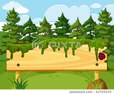 Scene with wooden sign and many pine trees in Scene with wooden sign and many pine trees in 62545019