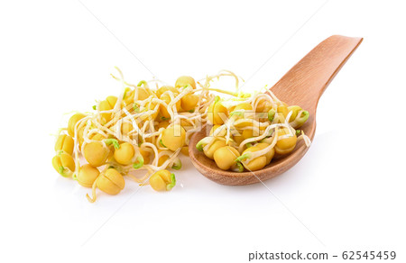 Peas sprout on white background 62545459