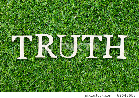 Wood alphabet letter in word truth on green grass Wood alphabet letter in word truth on green grass 62545693