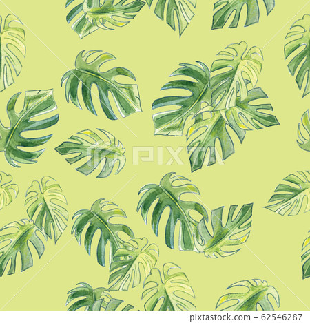 Illustration of three leIllustration of three leaves of palmaves of palm Illustration of three leIllustration of three leaves of palmaves of palm 62546287