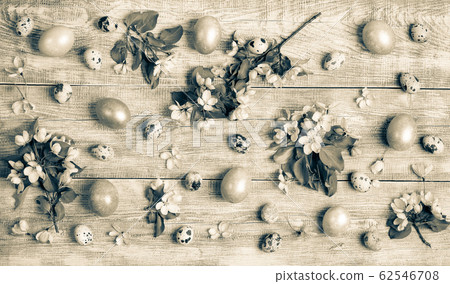 Easter festive flat lay layout of Apple tree twigs and flowers, quail and hen eggs on wooden table background. Retro aged monochrome composition. Top view. 62546708