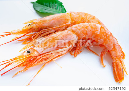 Red shrimp 62547192