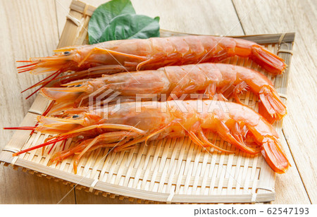 Red shrimp 62547193
