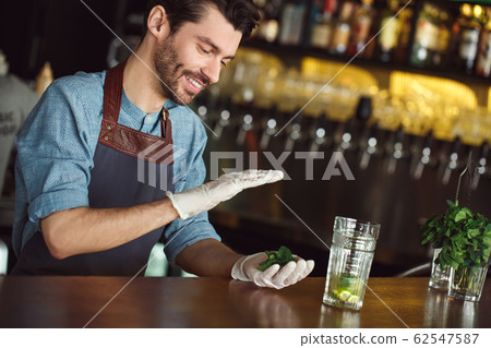 Making Drink. Bartender standing at counter holding mint leaves smiling cheerful Making Drink. Bartender standing at counter holding mint leaves smiling cheerful 62547587