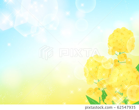 強姦開花背景圖 強姦開花背景圖 62547935