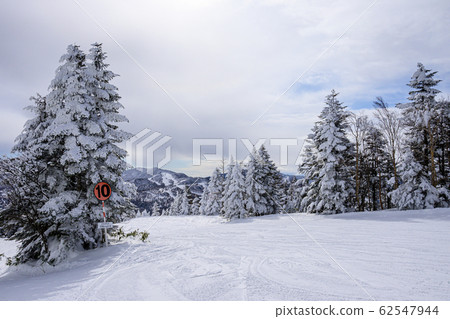 Shiga Kogen pottery giant slalom course 62547944