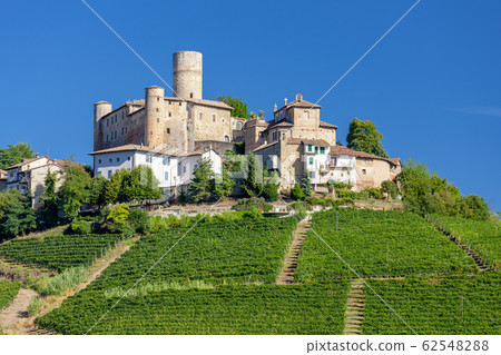 Castle and village Castiglione Falletto, Piemonte, 62548288