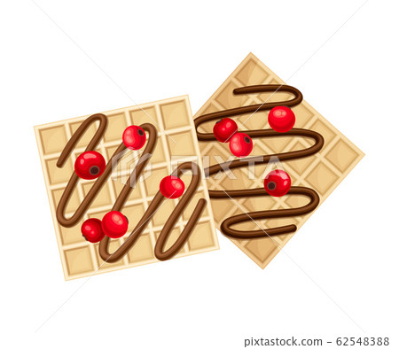Square Shaped Waffle with Textured Surface and Chocolate Topping with Cranberry Top View Vector Illustration Square Shaped Waffle with Textured Surface and Chocolate Topping with Cranberry Top View Vector Illustration 62548388