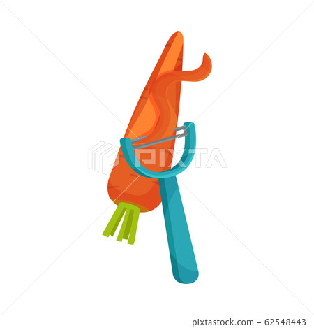 Process of Peeling Carrot with Paring Knife Vector Illustration 62548443
