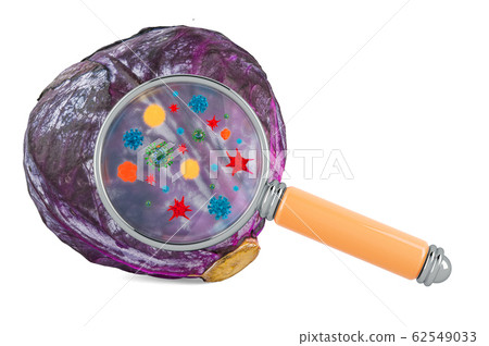Purple cabbage with germs, microbes or viruses 62549033