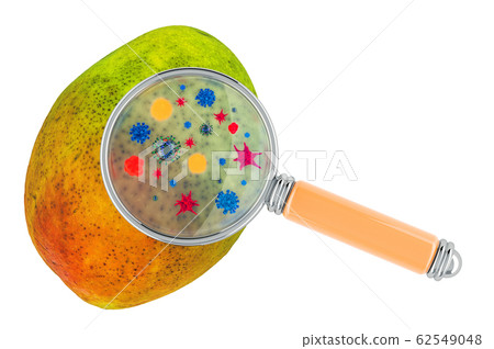 Mango with germs, microbes or viruses Mango with germs, microbes or viruses 62549048