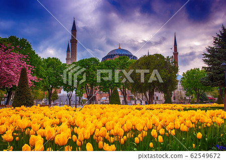 Blue Mosque in Istanbul Blue Mosque in Istanbul 62549672