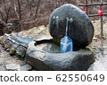 Spring 62550649
