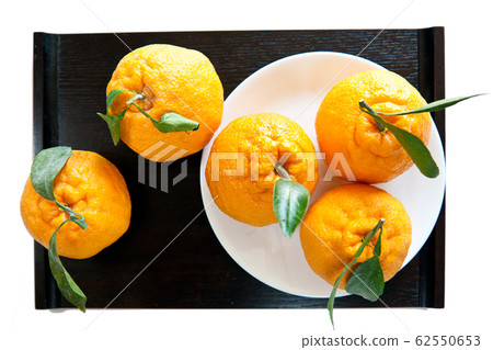 Hallabong Hallabong 62550653