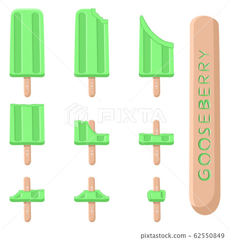 Vector illustration logo for natural gooseberry 62550849