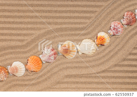 Seashell lying on zigzag lines of sand. Seashell lying on zigzag lines of sand. 62550937