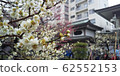 [東京]湯島天神梅花節 62552153