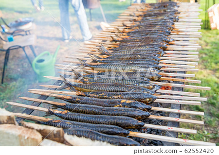 roasting mackerel on a charcoal grill during an outdoor picnic in the park. fish as a delicacy to eat 62552420
