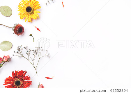 Frame of dry flowers on white background. Frame of dry flowers on white background. 62552894