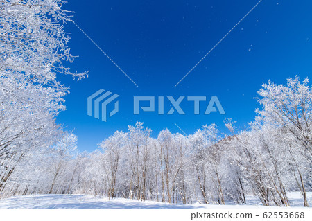 北海道冬季景觀富良野霧e 北海道冬季景觀富良野霧e 62553668