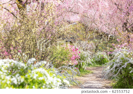 Harayaen, Kyoto 62553752