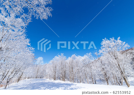 北海道冬季景觀富良野霧e 62553952