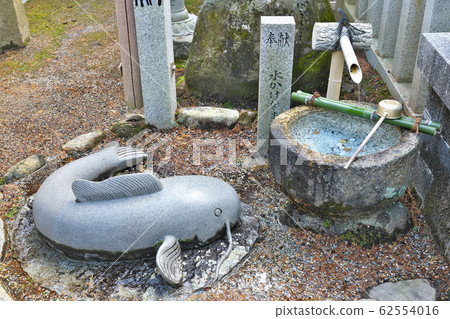 [大村神社先澆水]三重縣伊賀市阿波 62554016
