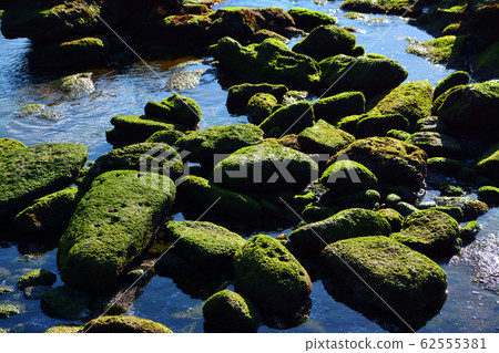 Mysterious erosion molding beauty of Jogasaki coast Mysterious erosion molding beauty of Jogasaki coast 62555381