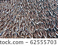 Dried anchovies 62555703