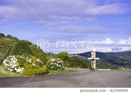 (Kanagawa Prefecture) Rhododendron blooms, Hakone Daikanyama Observatory 62556094