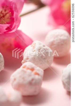 Hina Hare Hina Hare 62556096