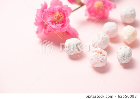 Hina Hare Hina Hare 62556098