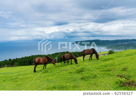 首都的Misakima 首都的Misakima 62556327