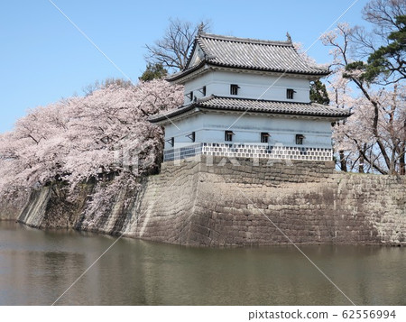Spring of Shibata castle Spring of Shibata castle 62556994