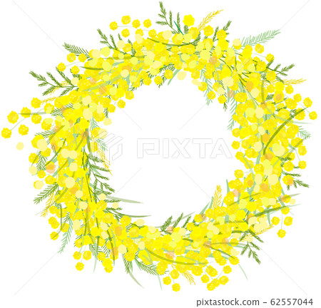 mimoza含羞草租賃 62557044