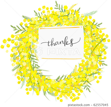 mimoza mimosa lease 62557045