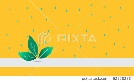 Green Leaf with the water drop Green Leaf with the water drop 62558288