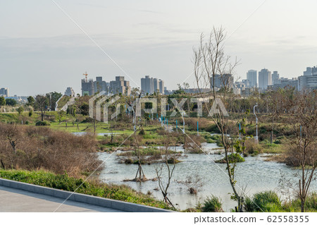 台中市蘇州柳貿易園台中中央公園，台灣第二大公園台中 62558355