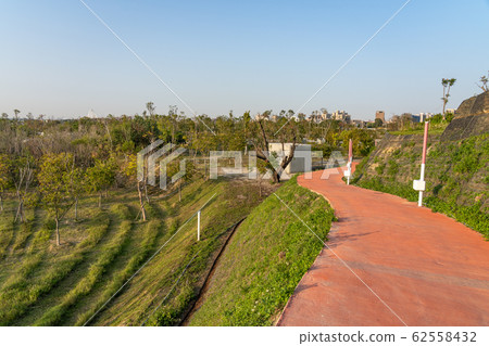 台中市蘇州柳貿易園台中中央公園,台灣第二大公園台中 台中市蘇州柳貿易園台中中央公園,台灣第二大公園台中 62558432