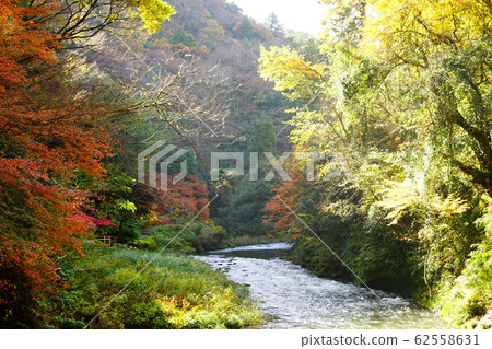 Autumn leaves of Tsurusen River 62558631