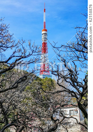 芝公園，東京鐵塔和梅花 62558876