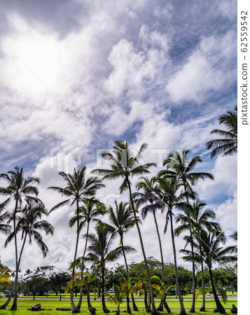 夏威夷夏威夷島希洛懷洛阿河州立公園 62559542
