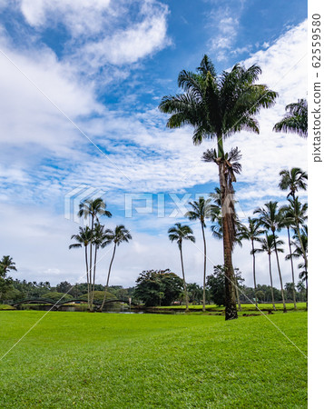 夏威夷夏威夷島希洛懷洛阿河州立公園 62559580