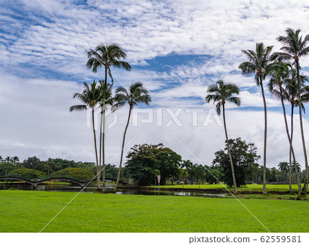 Hawaii Hawaii Island Hilo Wailoa River State Park 62559581