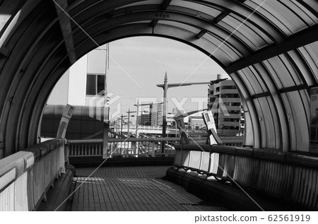 Monochrome photo Snap photo Monochrome photo Snap photo 62561919